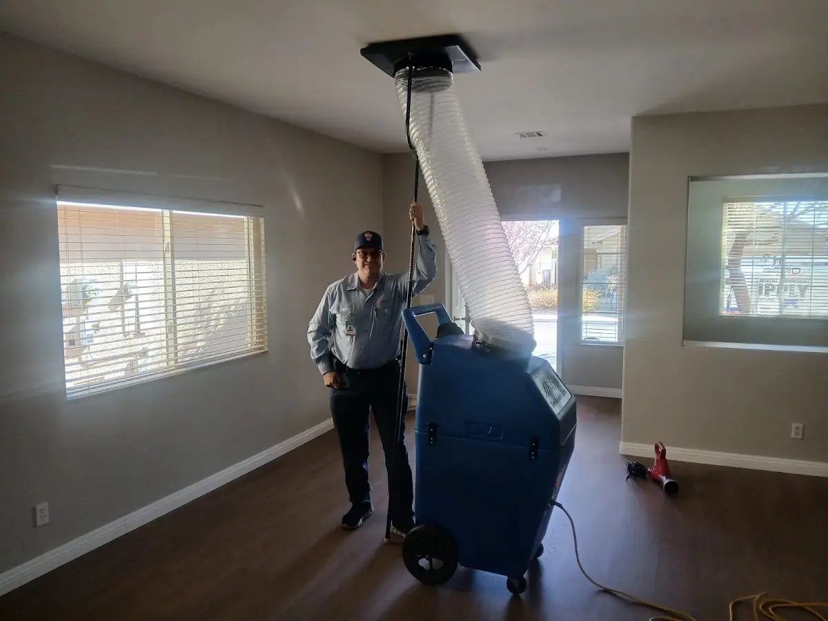 Professional Dryer Vent Cleaning work inside a Lake Grove home